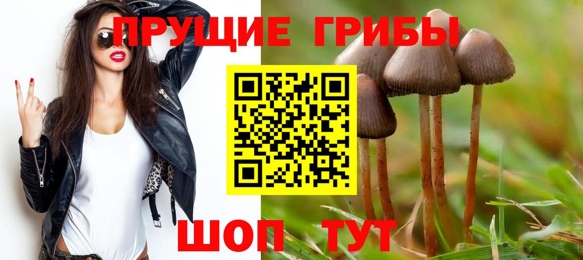 Псилоцибиновые грибы Cubensis Асбест